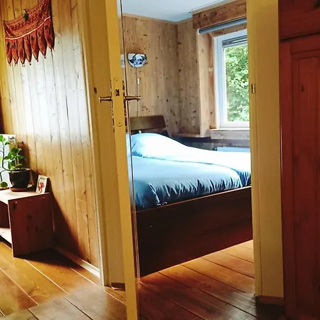 Nyaraló Het Houten Boshuisje Hattemerbroek