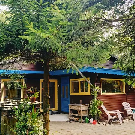 Het Houten Boshuisje Holiday home *