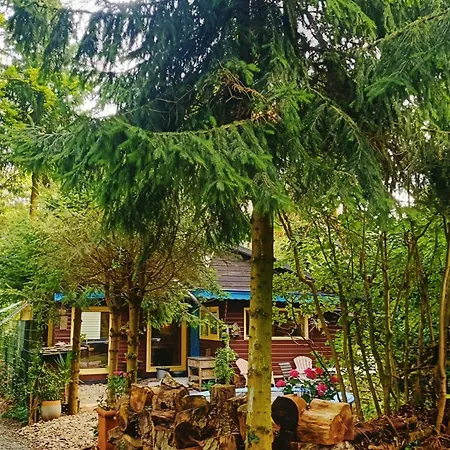 Het Houten Boshuisje * Hattemerbroek