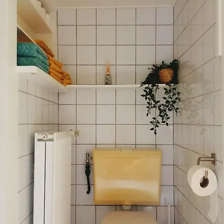 Het Houten Boshuisje Hattemerbroek