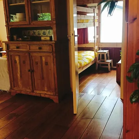 Het Houten Boshuisje Hattemerbroek