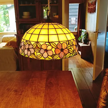 Het Houten Boshuisje Feriehus Hattemerbroek