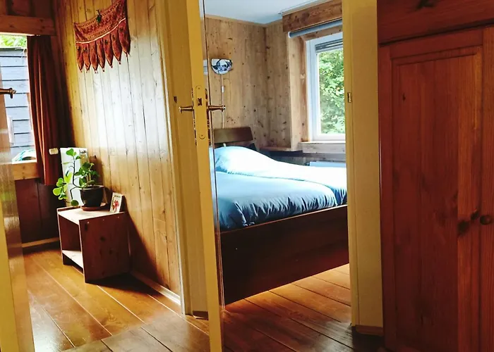 Feriehus Het Houten Boshuisje Hattemerbroek