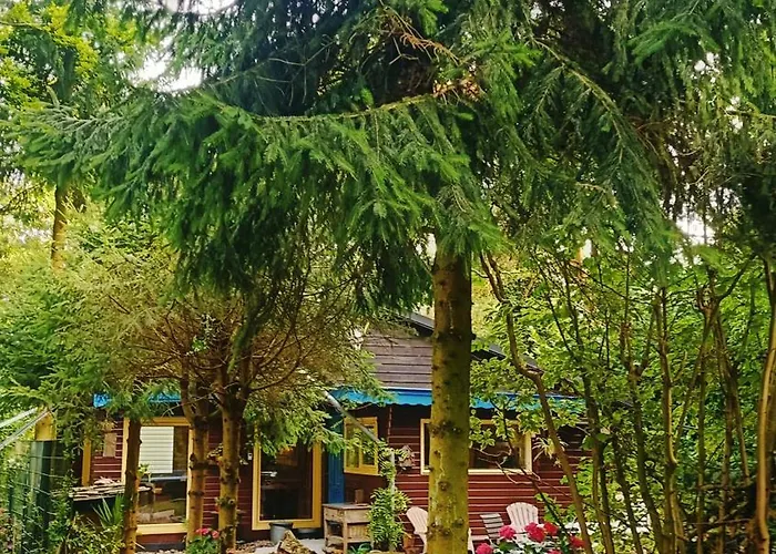 Het Houten Boshuisje * Hattemerbroek