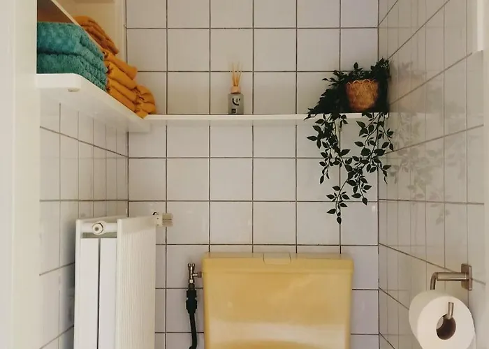 Het Houten Boshuisje Hattemerbroek