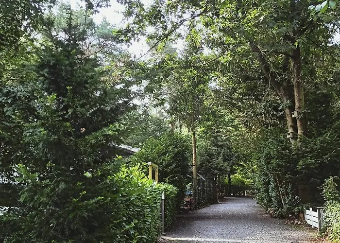 Het Houten Boshuisje *